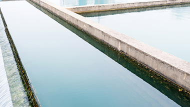 一體化污水處理設(shè)備的構(gòu)造和優(yōu)勢(shì)是什么